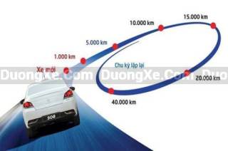 Chu Kỳ Thay Dầu Nhớt Ô Tô Bao Lâu? Khi Nào Cần Thay Là Tốt Nhất ?
