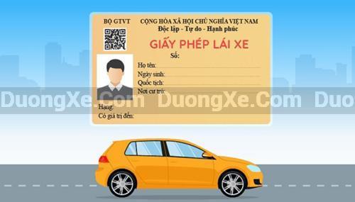 Cách Gia Hạn Giấy Phép Lái Xe Ô Tô Online Dễ Dàng