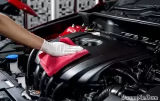 Đuổi Chuột Khoang Máy Ô Tô: Mẹo Hay Hiệu Quả