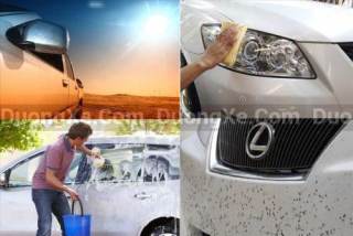 Hướng Dẫn Cách Tẩy Sạch Vết Ố Trên Bề Mặt Sơn Xe