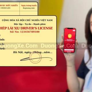 Độ tuổi cấp giấy phép Lái Xe áp dụng từ năm 2025