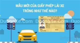 Mẫu giấy phép lái xe mới được áp dụng từ năm 2025